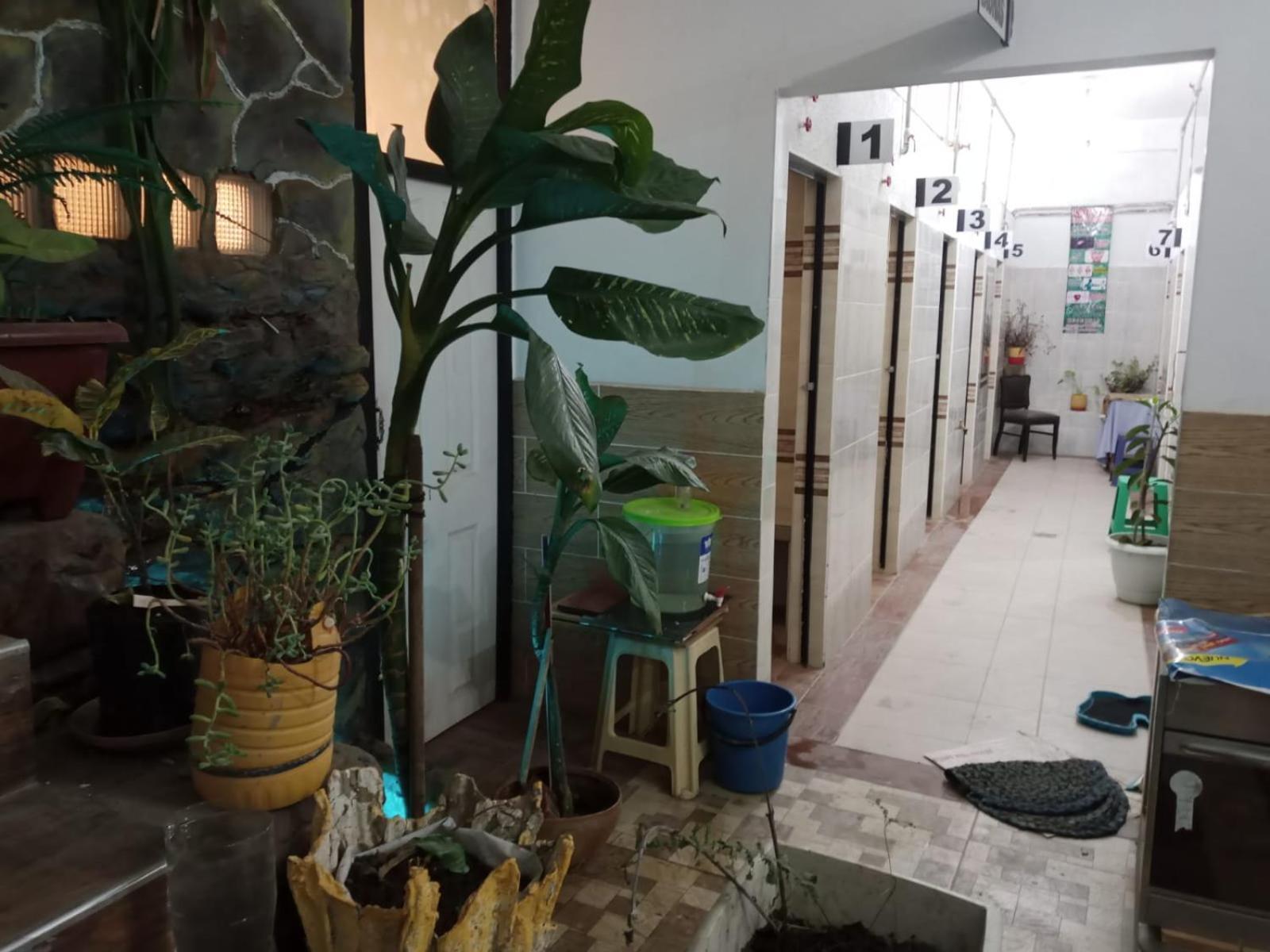 Casa Qura Qura Pansiyon Cochabamba Dış mekan fotoğraf